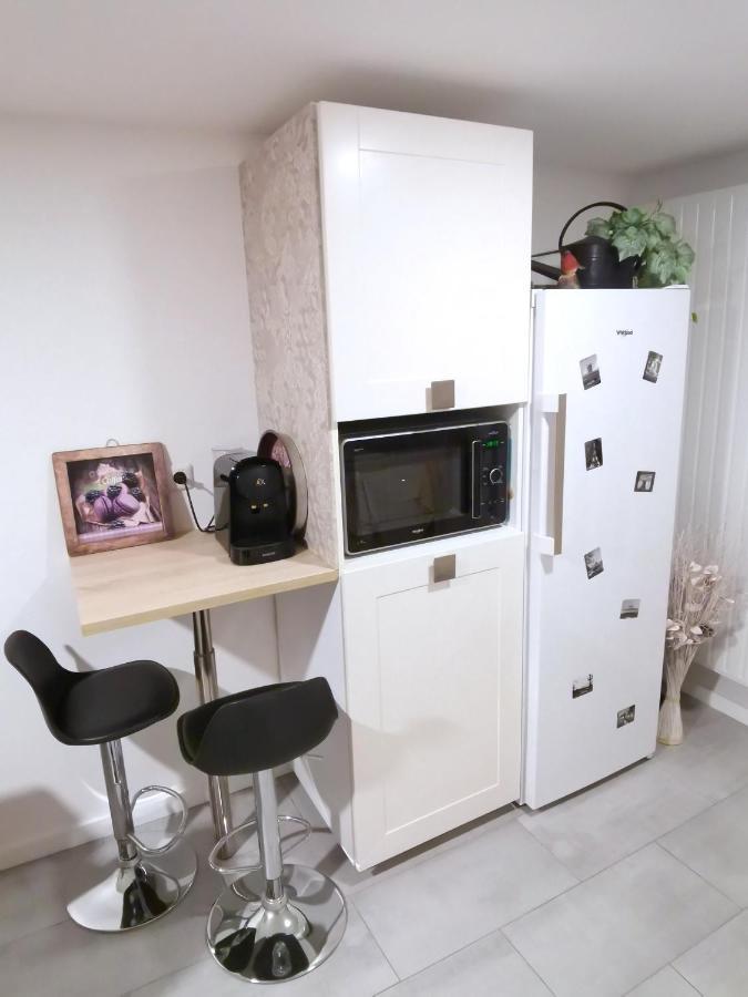 Agreable Logis Au Calme Avec Jardin Entre Paris Et Eurodisney 호스니-쑤-부와 외부 사진